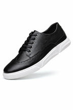 Harrington Brogue Sneakers